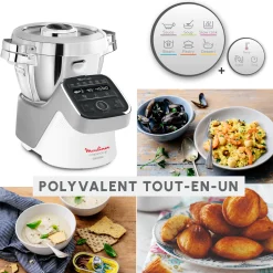 Companion Xl 1550W Blanc Et Silver