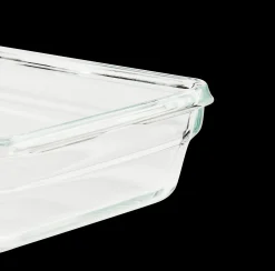 Masterseal Glass Boite Rect 3 L